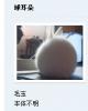 我的相册