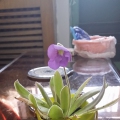 我的相册