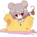 我的相册